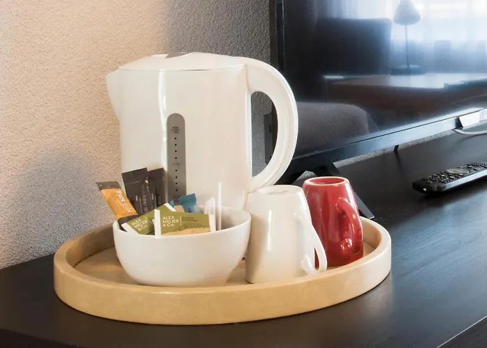 Mayflower Hotel Leiden